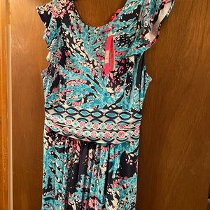 NWT Lilly Pulitzer maxi dress. Size Large